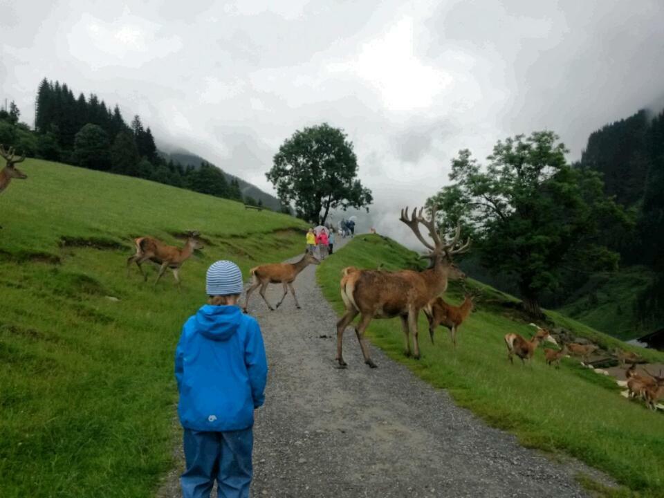 Appartementhaus Bad Salve Hopfgarten im Brixental Luaran gambar